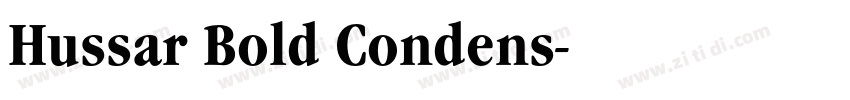 Hussar Bold Condens字体转换